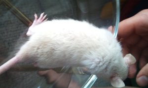 Kopie vonDSC00406.JPG Kopie vonDSC00406.JPG