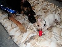 amÃ¼Ã¼Ã¼Ã¼Ã¼Ã¼Ã¼Ã¼ 007.JPG