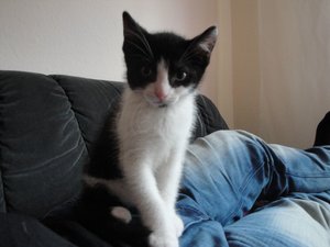 DSC02323.jpg DSC02323.jpg