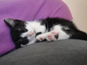 DSC02362.jpg DSC02362.jpg