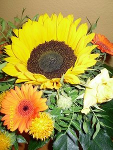 SDC10196 - Kopie.JPG