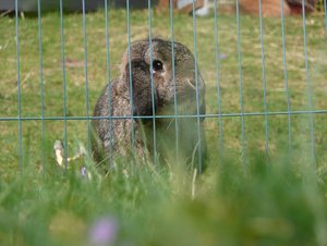 P1080520Michel model.jpg