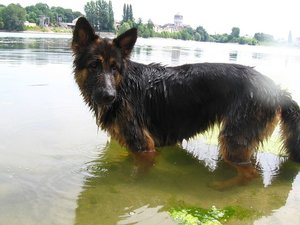 k-friesenheimerstrand1 015.jpg k-friesenheimerstrand1 015.jpg