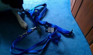 Neues geschirr.jpg Neues geschirr.jpg