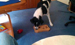 Patch schlau 2.jpg Patch schlau 2.jpg