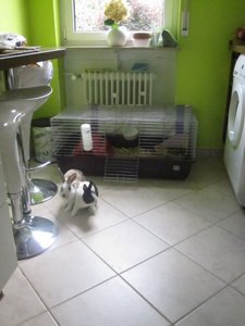 IMG_1081 [1024x768].jpg