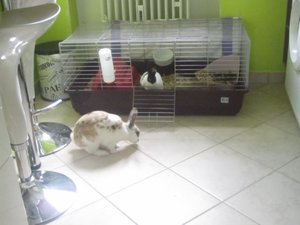 IMG_1082 [1024x768].jpg