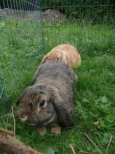 P1110793 Michel wiedespiegelung.jpg