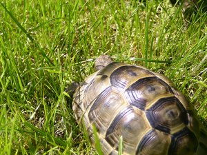 Paulchen auf in die weltskaliert.JPG