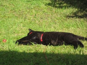 garten1.JPG garten1.JPG