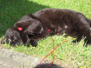 garten2.JPG garten2.JPG