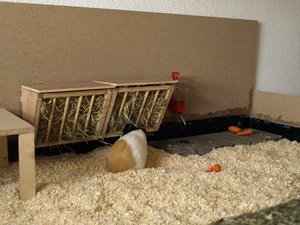 51449082.jpg 51449082.jpg