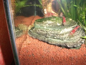 DSCF3565 - Kopie.JPG