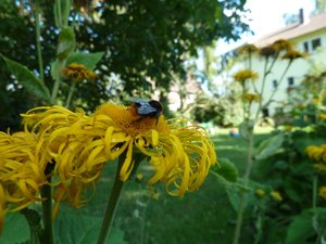 P1010319.jpg P1010319.jpg