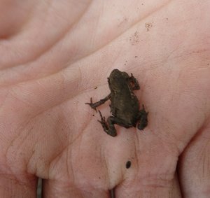 P1010280.jpg P1010280.jpg