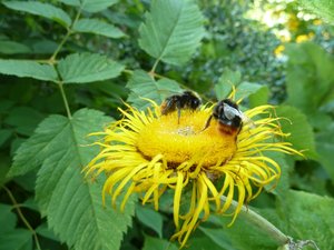 P1010285.jpg P1010285.jpg