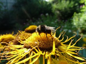 P1010291.jpg P1010291.jpg