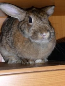 Liesel2.jpg Liesel2.jpg