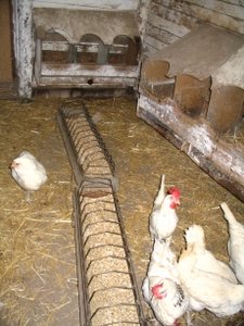 Fress-Lege-Raum.jpg Fress-Lege-Raum.jpg