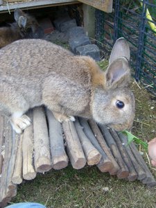 Alle Kamerabilder 1051.JPG