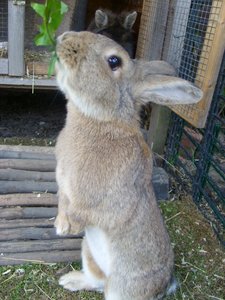 Alle Kamerabilder 1050.JPG