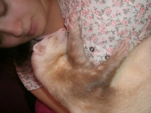 GEDC1277.jpg GEDC1277.jpg