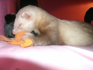 GEDC1226.jpg GEDC1226.jpg