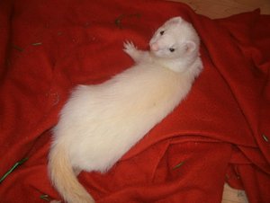 GEDC1316.jpg GEDC1316.jpg