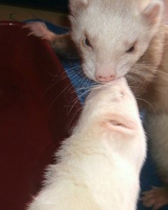 GEDC1374.jpg GEDC1374.jpg