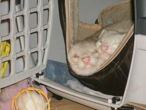 GEDC1321.jpg GEDC1321.jpg