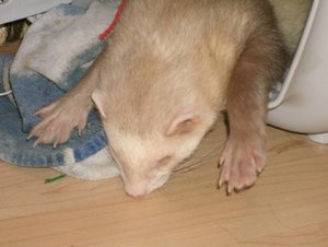 GEDC1358.jpg GEDC1358.jpg