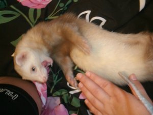 GEDC1364.jpg GEDC1364.jpg