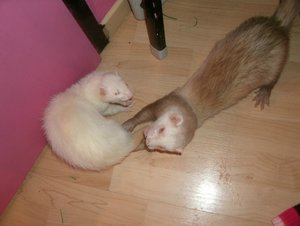 GEDC1386.jpg GEDC1386.jpg