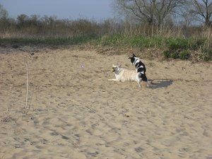 Patch09.jpg Patch09.jpg