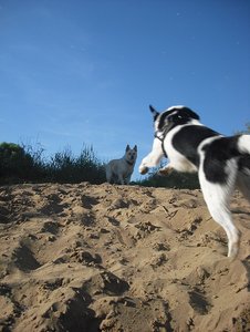 CIMG0824.jpg CIMG0824.jpg