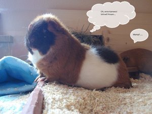 Jeany beim Posen Denk.jpg