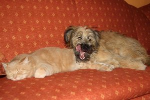 Arvid - Mein Freund und ich.JPG