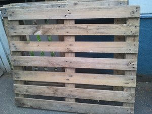 2011-07-19 20.09.09.jpg