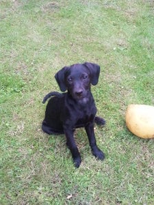 2011-07-19 18.33.28.jpg