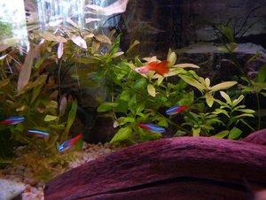 HamsterbÃ¤ckchen - Gruppenfoto AQ Bewohner.JPG