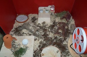 KÃ¤fig Kleiner Hamster.jpg