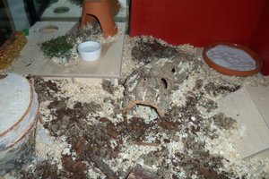 KÃ¤fig Kleiner Hamster3.jpg