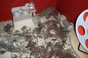 KÃ¤fig Kleiner Hamster2.jpg