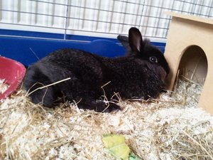 2011-07-22 16.07.34neuneh.jpg