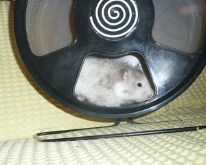 P1120485 Finja Laufrad.jpg