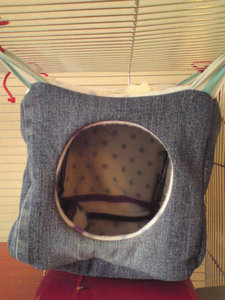 dsc05315y.jpg dsc05315y.jpg