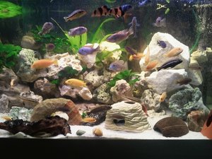 2011-07-17 19.02.01nrr.jpg