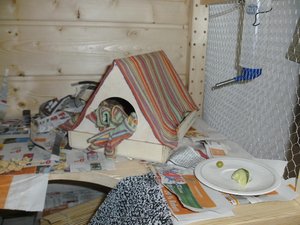 BILD0935.JPG BILD0935.JPG