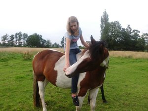 Laura x3 - Top Horse Freund.JPG