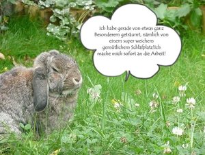 P1120441 michel topodel 6.jpg